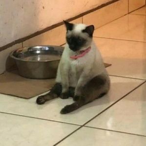 Meet your Posher, Zachary